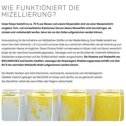 Curcumine wateroplosbaar - Glow and Vital